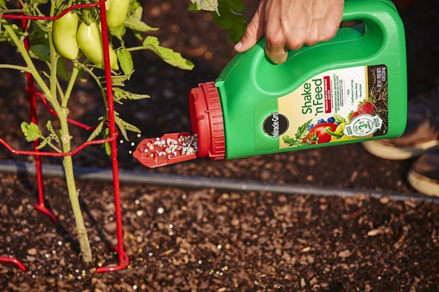 Le meilleur engrais pour les poivrons et les légumes-1