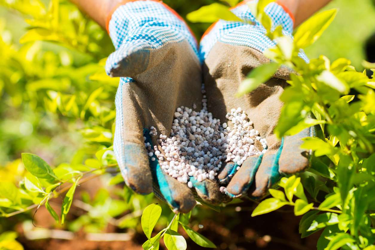 Les meilleurs engrais de jardin, sélectionnés avec soin-1