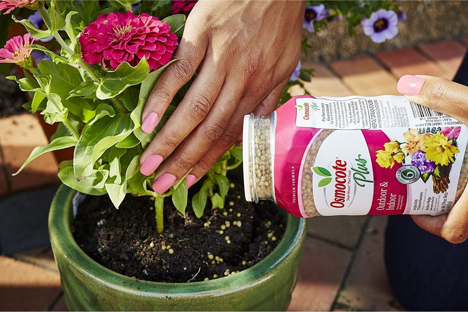 Le meilleur engrais pour plantes