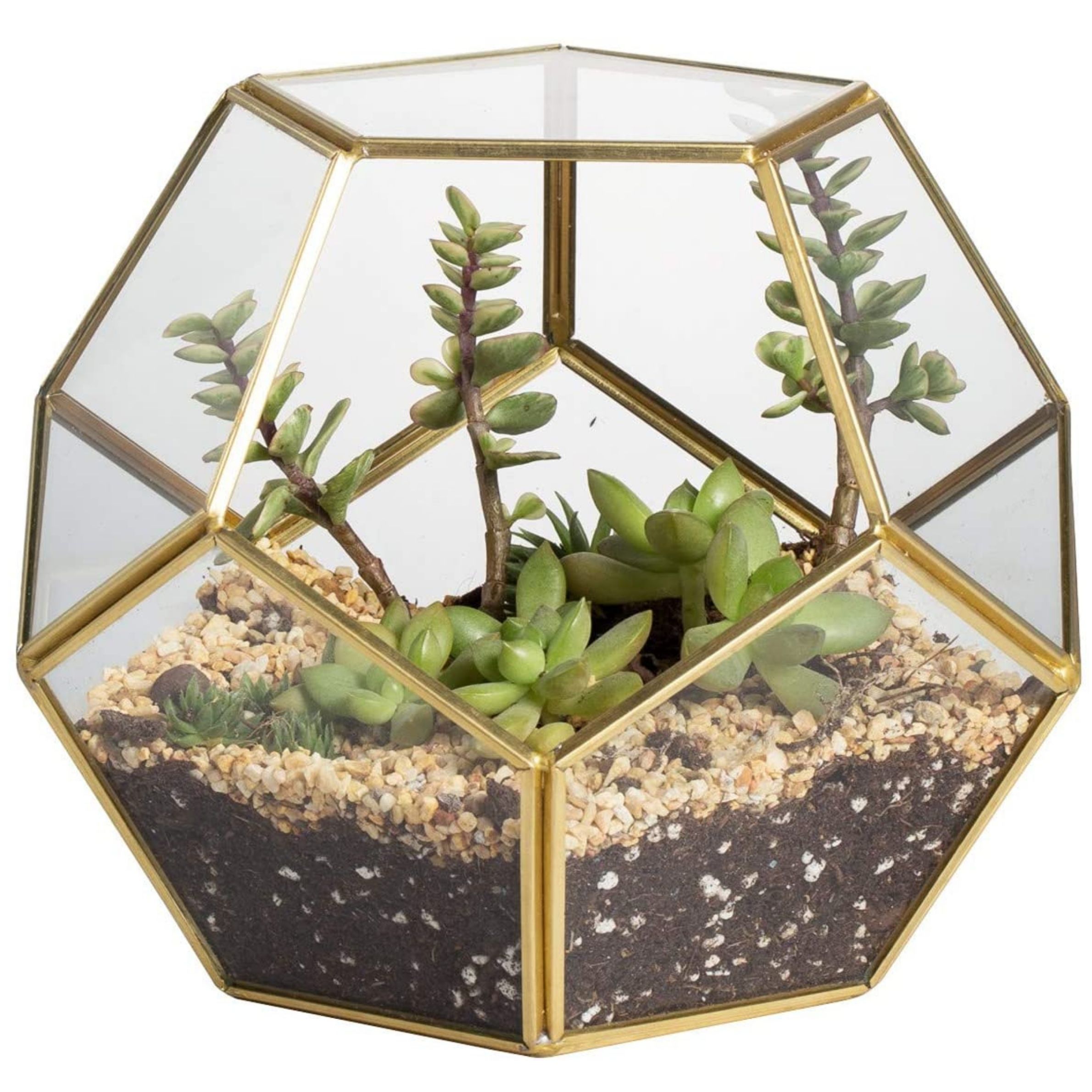 Les meilleurs pots pour plantes succulentes-4