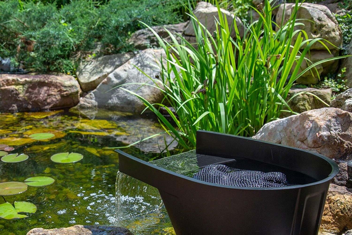 Les meilleurs filtres d'étang pour une eau propre et claire