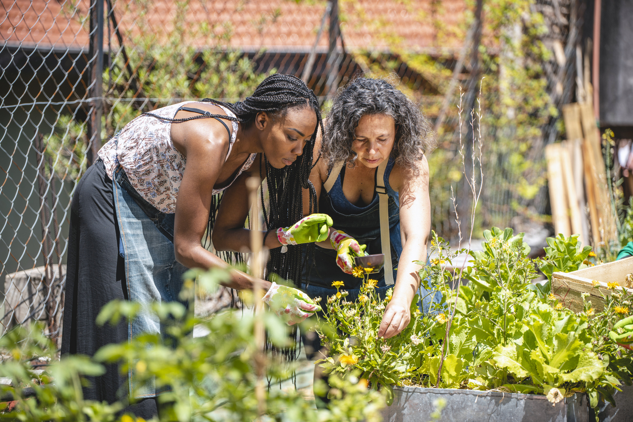 12 idées de homesteading modernes pour une vie plus autonome