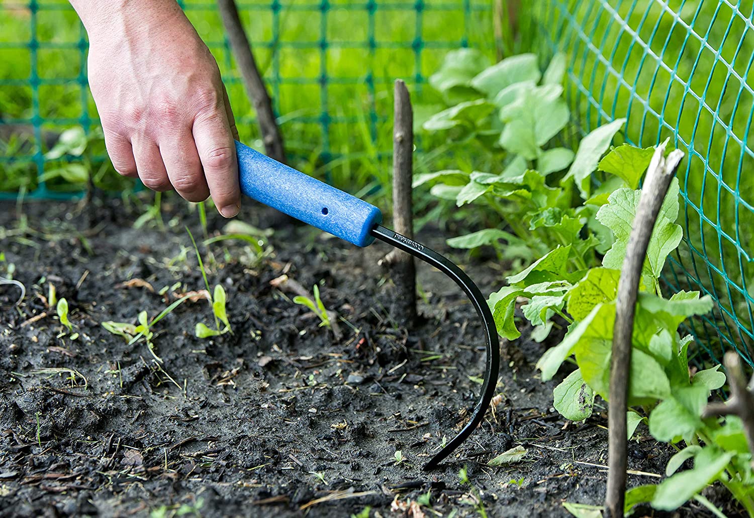 Les 20 meilleurs produits d'entretien de pelouse pour une pelouse luxuriante et saine-10