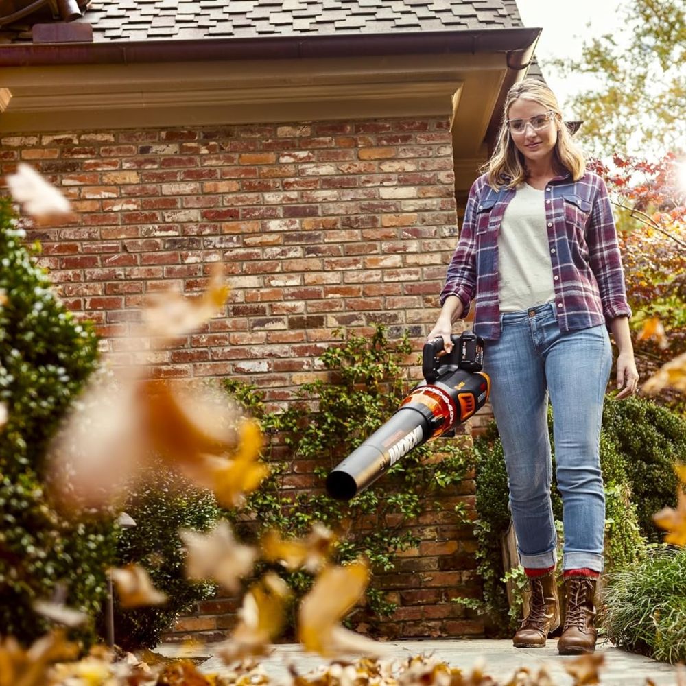 Les 20 meilleurs produits d'entretien de pelouse pour une pelouse luxuriante et saine-15