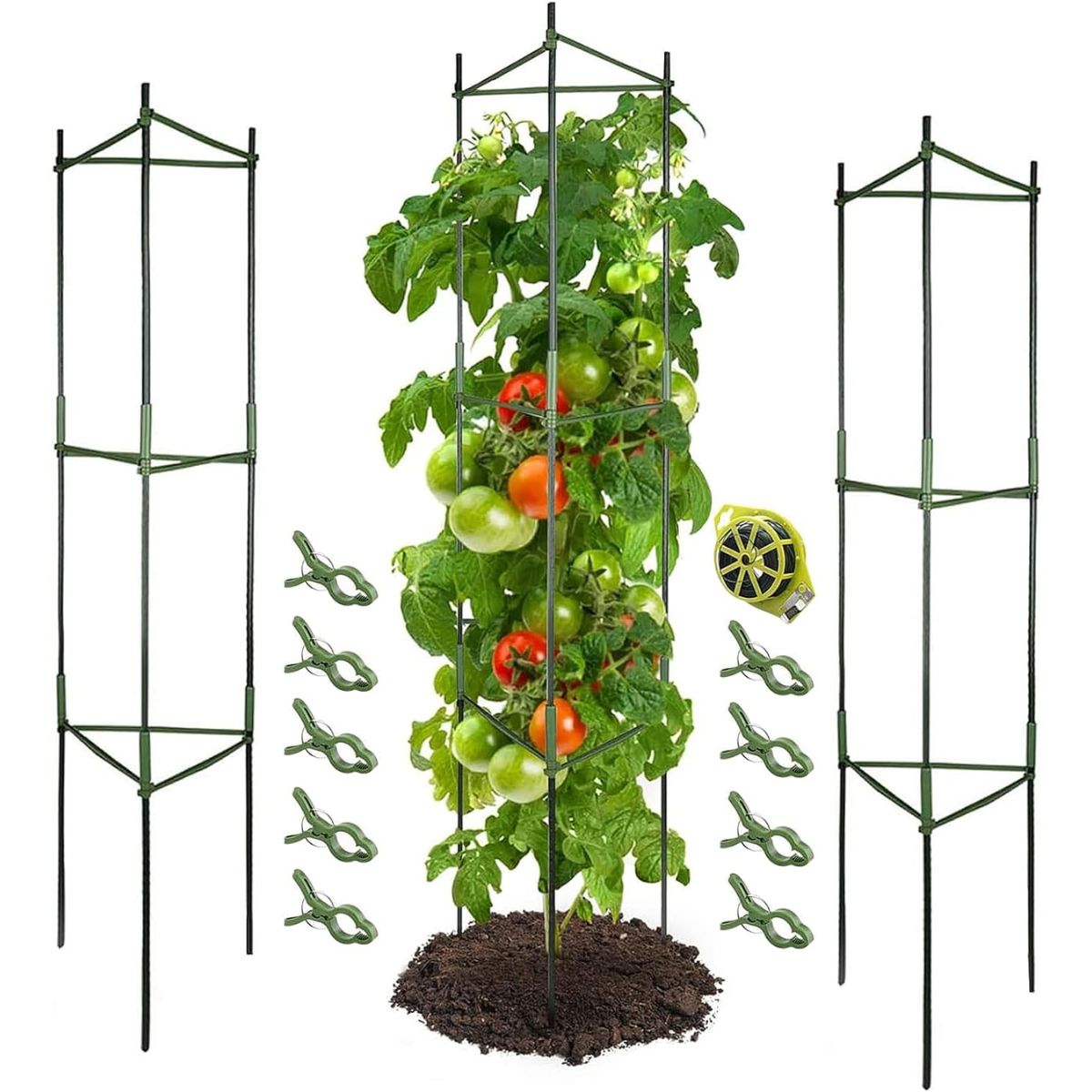 Les meilleures cages à tomates pour votre potager-2