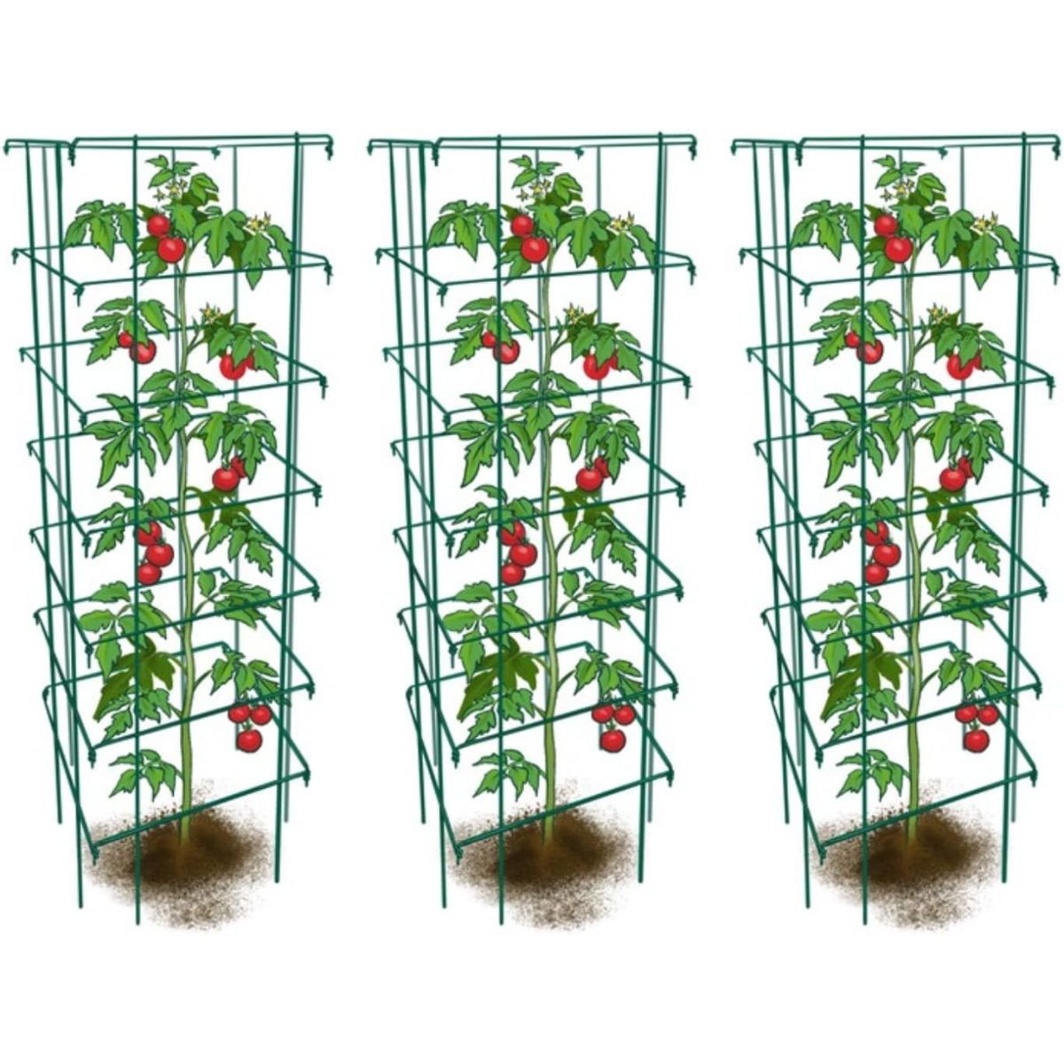 Les meilleures cages à tomates pour votre potager-7