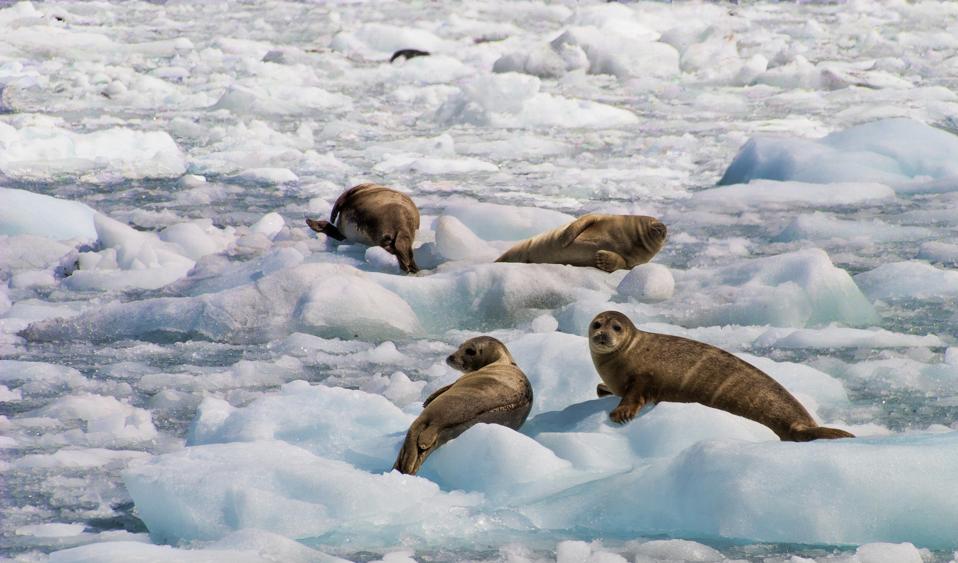 Les meilleures offres de croisière de 2024 : économisez jusqu'à 60% sur les réservations de la saison des vagues-1