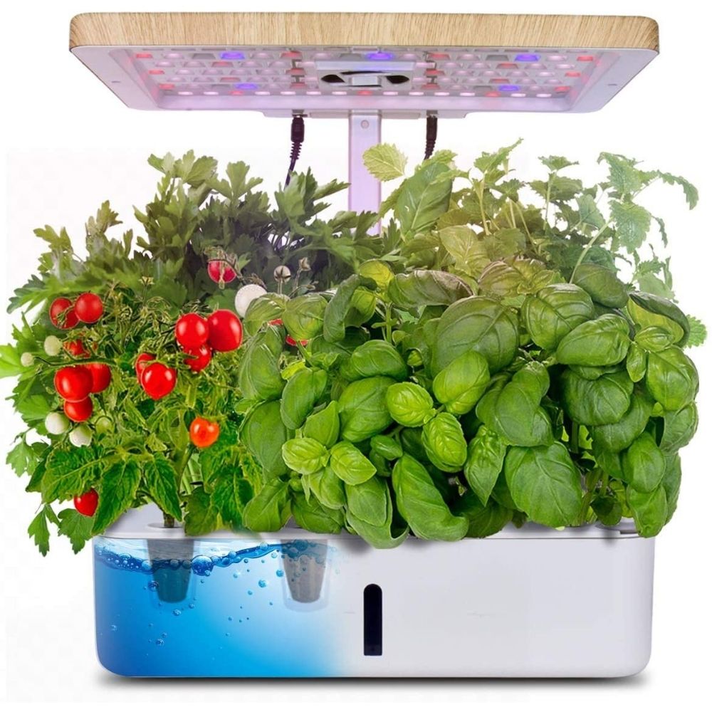 Les meilleurs systèmes hydroponiques pour cultiver des légumes en intérieur toute l'année-2