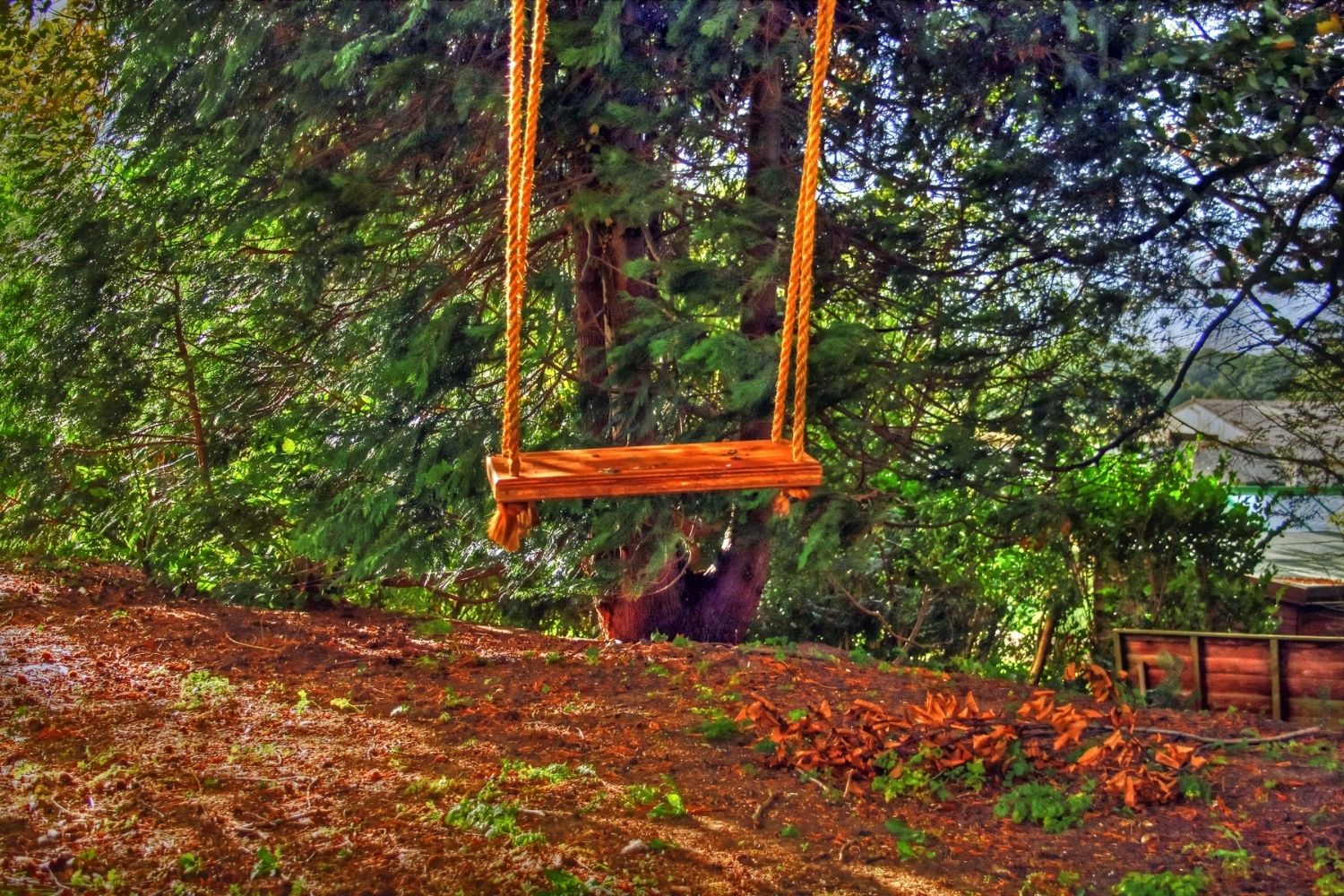 La meilleure corde pour les balançoires d'arbre