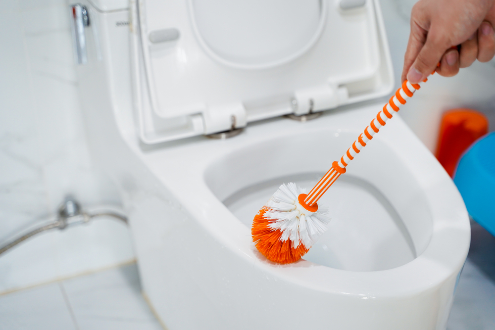 Les meilleures brosses de toilette pour la salle de bain