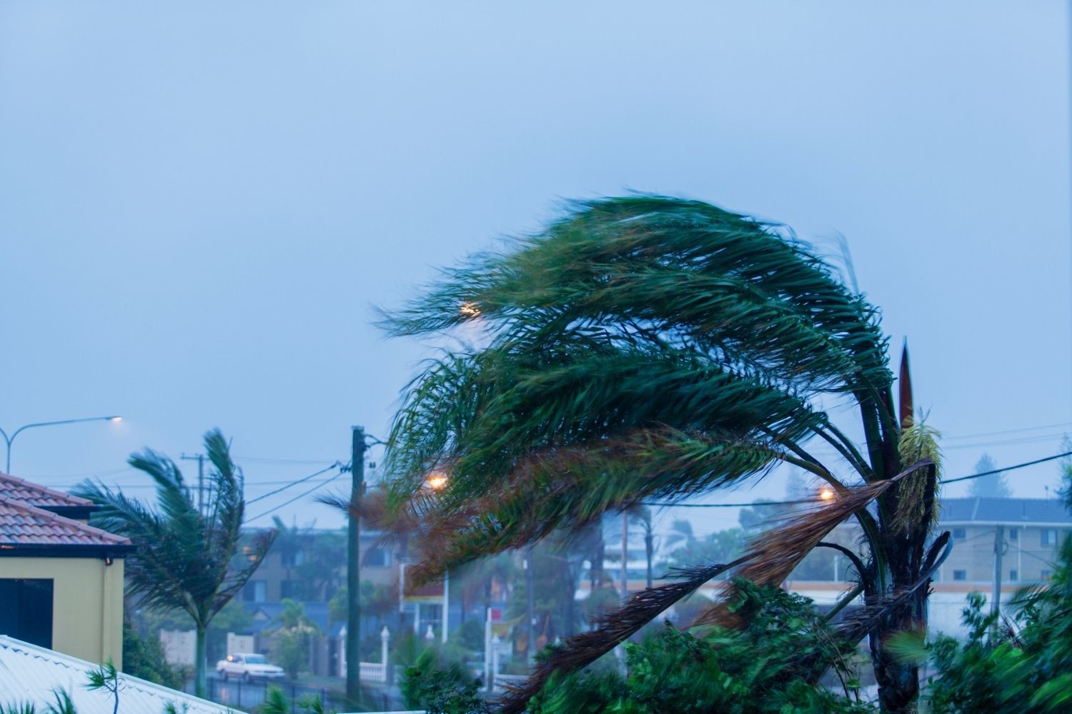 Combien coûtent les volets anti-ouragan ?