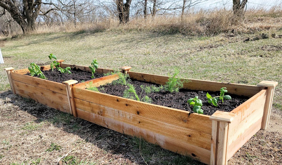 Les 9 meilleurs plates-bandes surélevées pour la culture de plantes, testées