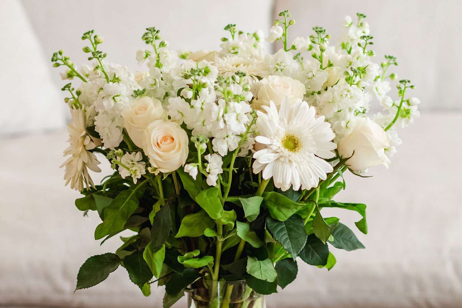 Les abonnements aux fleurs sont un cadeau qui dure et nous avons un code de réduction