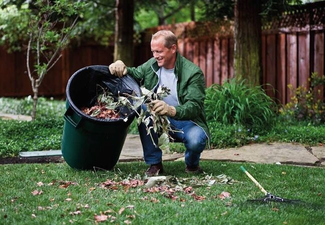 7 choses à faire au printemps pour une pelouse saine et magnifique toute l'année-3