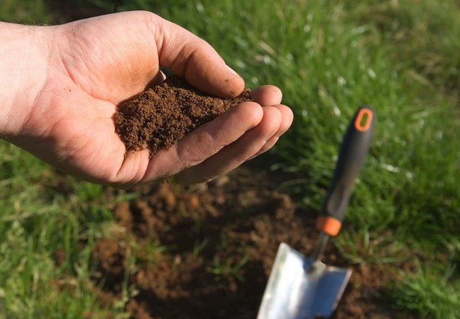 7 choses à faire au printemps pour une pelouse saine et magnifique toute l'année-2