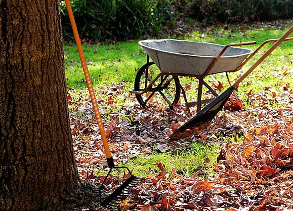 Les meilleurs râteaux à arc pour votre pelouse et votre jardin