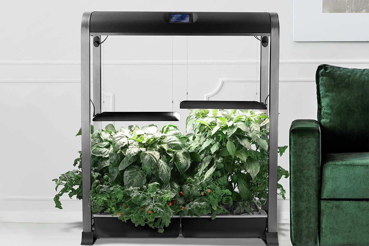 Le meilleur AeroGarden pour amener votre jardin à l'intérieur