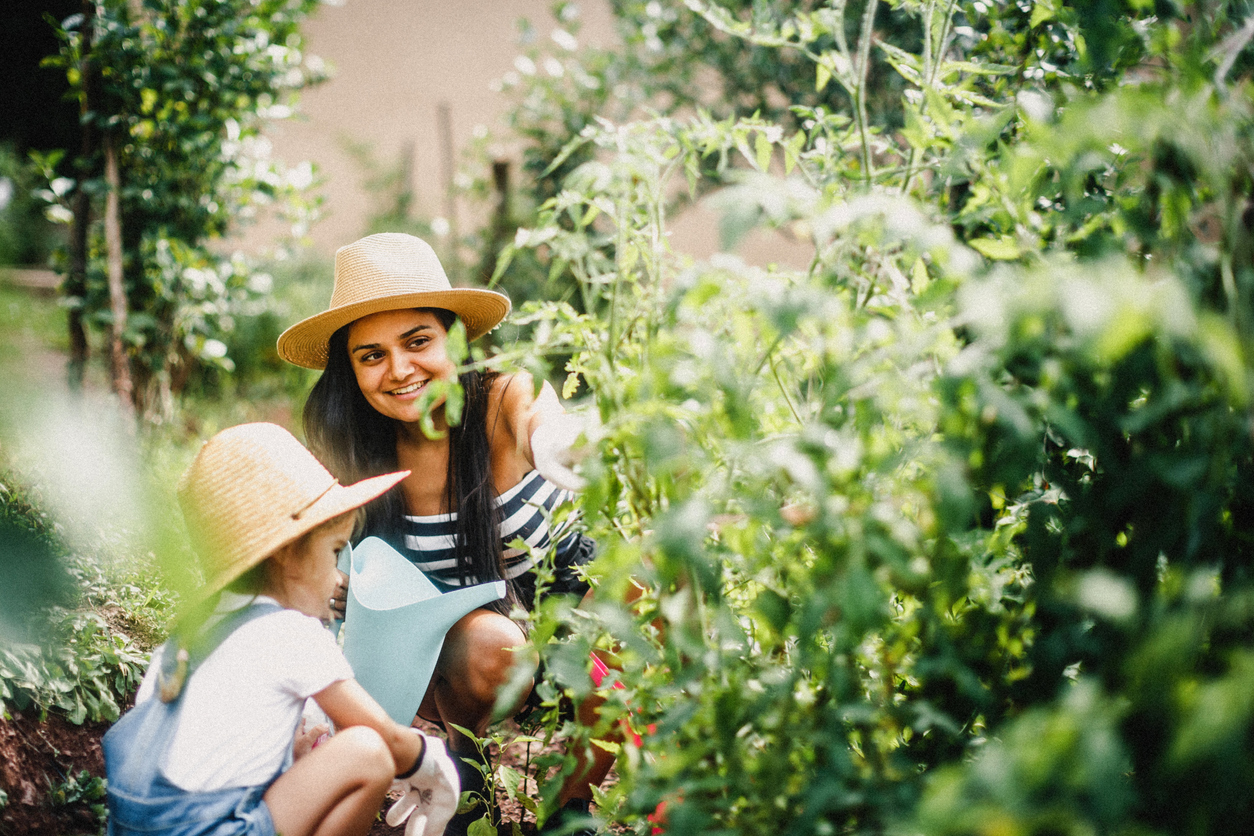 Les meilleurs chapeaux de jardinage