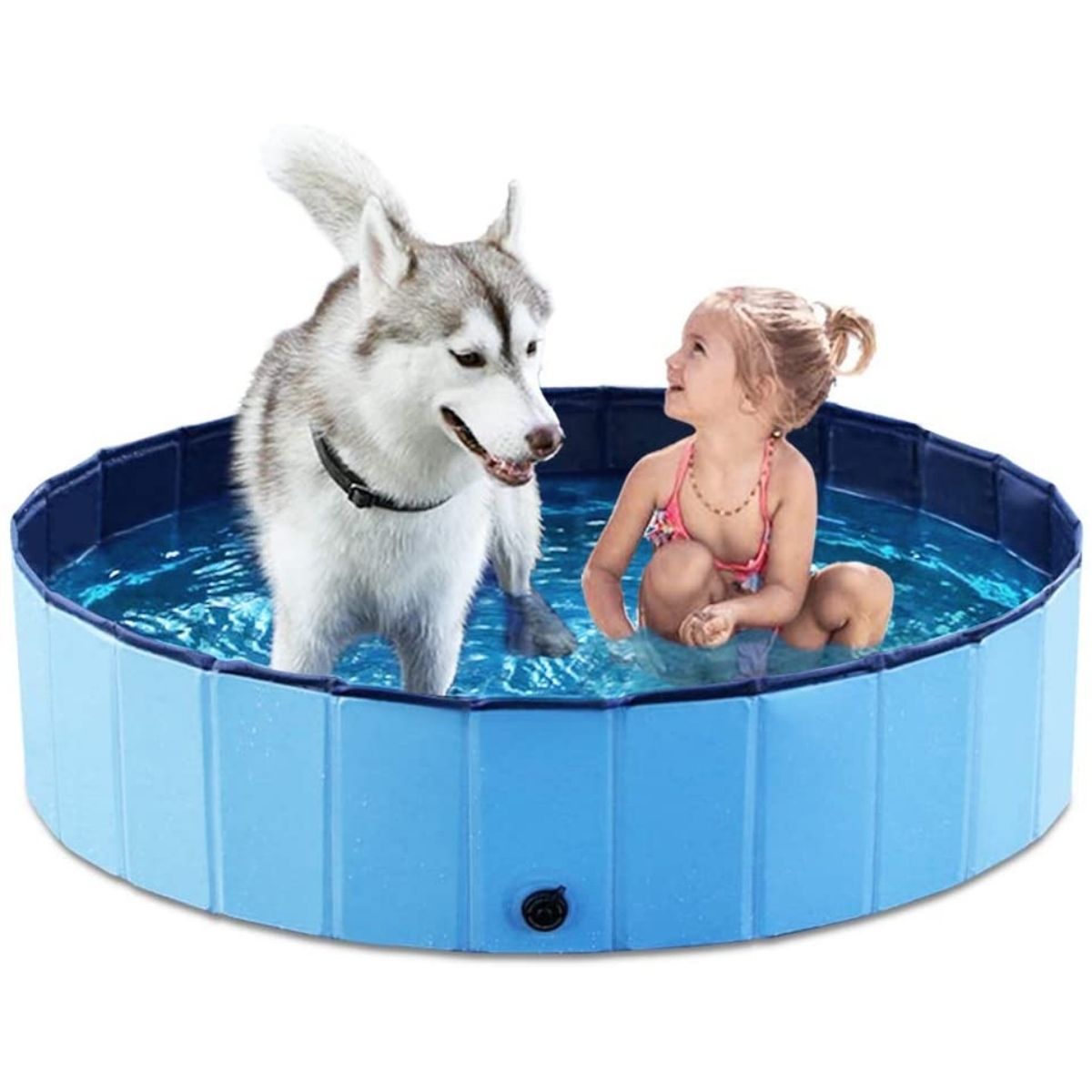 Les meilleures piscines pour chiens-2