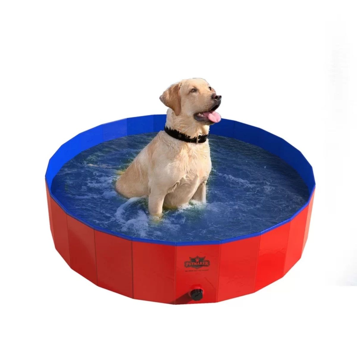 Les meilleures piscines pour chiens-6