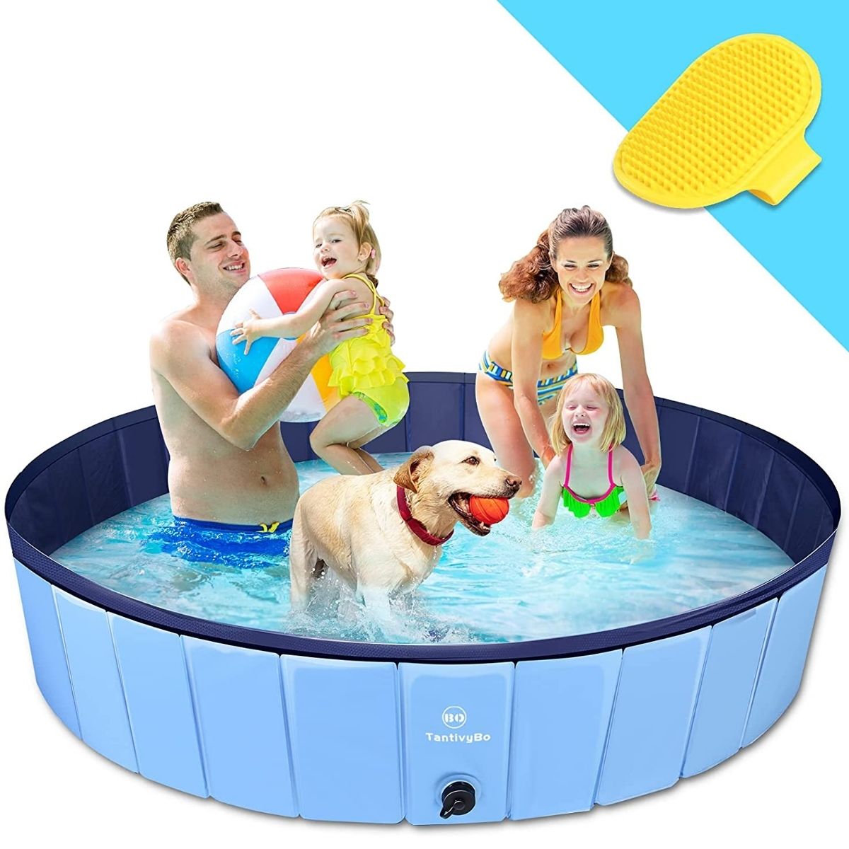 Les meilleures piscines pour chiens-3