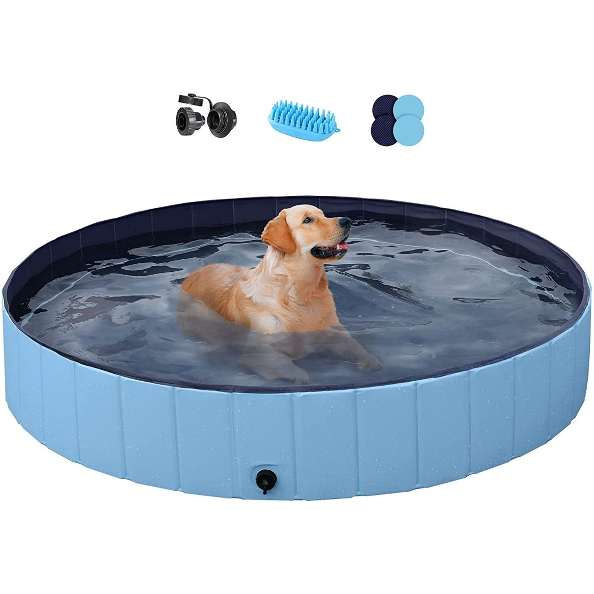 Les meilleures piscines pour chiens-8