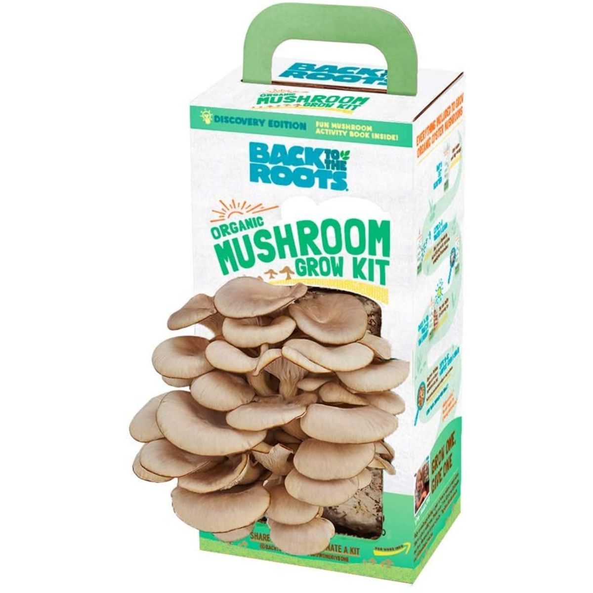 Les meilleurs kits de culture de champignons-3