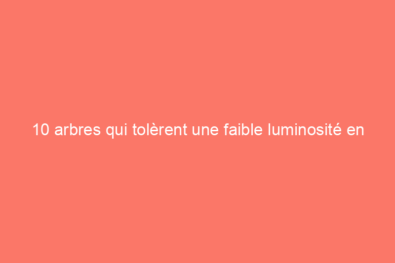 10 arbres qui tolèrent une faible luminosité en intérieur