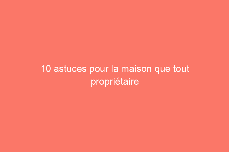 10 astuces pour la maison que tout propriétaire d'animal de compagnie doit connaître