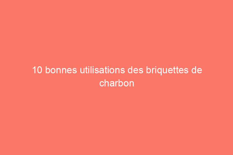 10 bonnes utilisations des briquettes de charbon de bois qui n'ont rien à voir avec les grillades