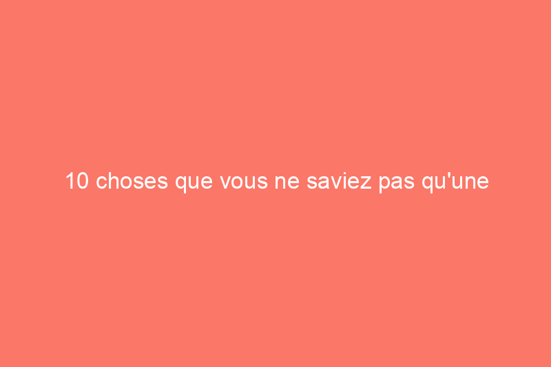 10 choses que vous ne saviez pas qu'une éponge pouvait faire