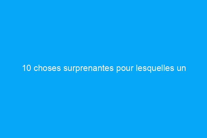 10 choses surprenantes pour lesquelles un propriétaire peut être condamné à une amende