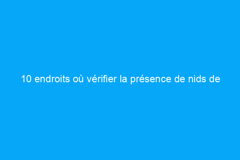 10 endroits où vérifier la présence de nids de guêpes dès maintenant