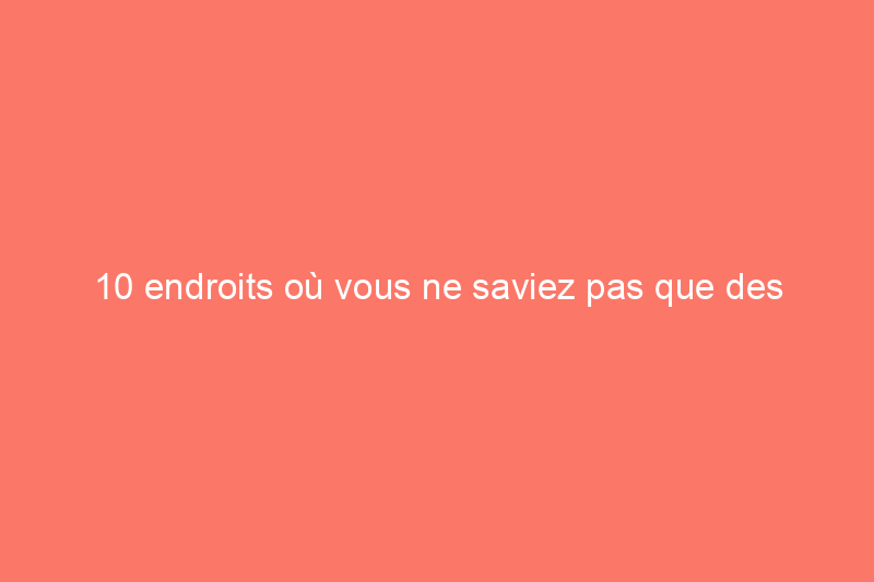 10 endroits où vous ne saviez pas que des nuisibles se cachaient