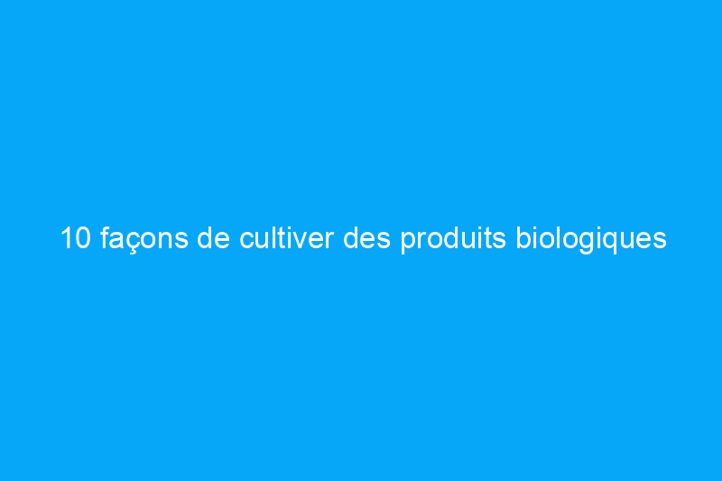 10 façons de cultiver des produits biologiques avec peu de moyens