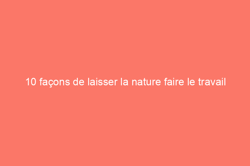 10 façons de laisser la nature faire le travail de jardinage à votre place