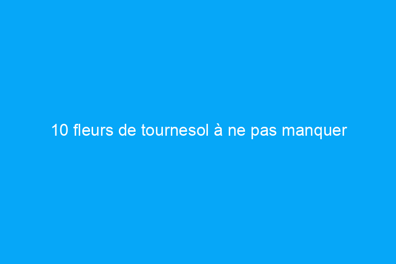 10 fleurs de tournesol à ne pas manquer