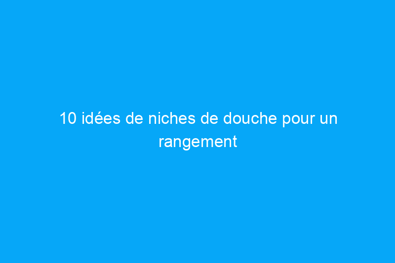 10 idées de niches de douche pour un rangement intégré dans la salle de bain