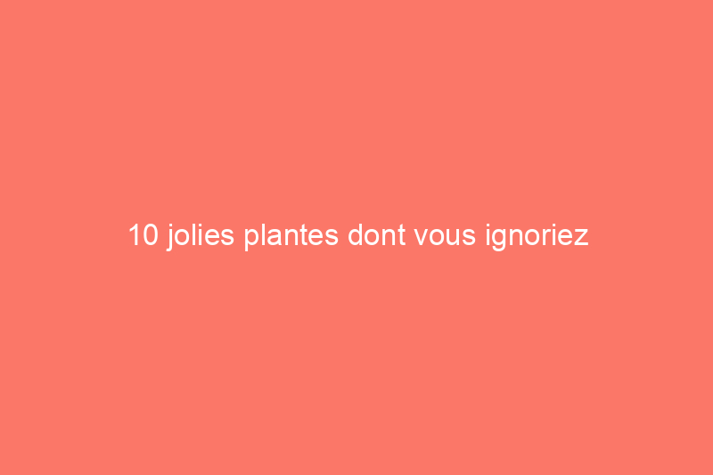 10 jolies plantes dont vous ignoriez qu'elles étaient toxiques