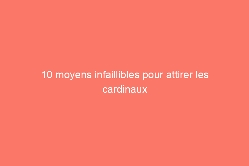 10 moyens infaillibles pour attirer les cardinaux dans votre jardin