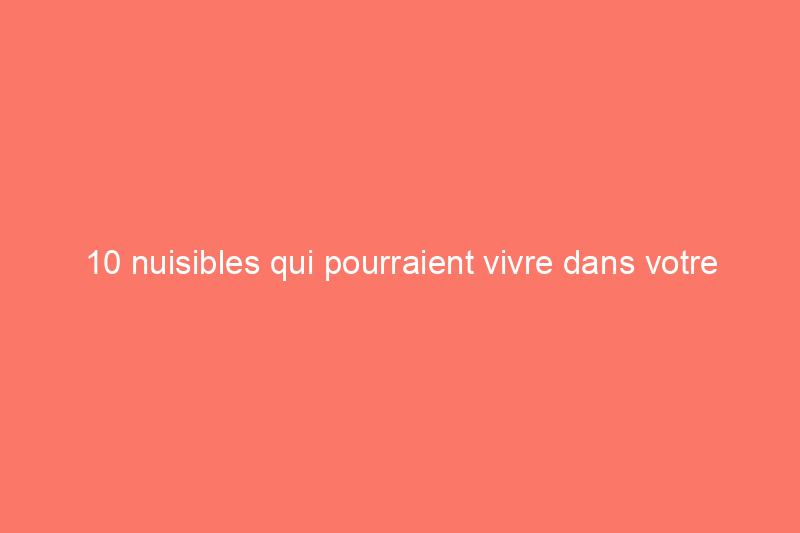 10 nuisibles qui pourraient vivre dans votre garage