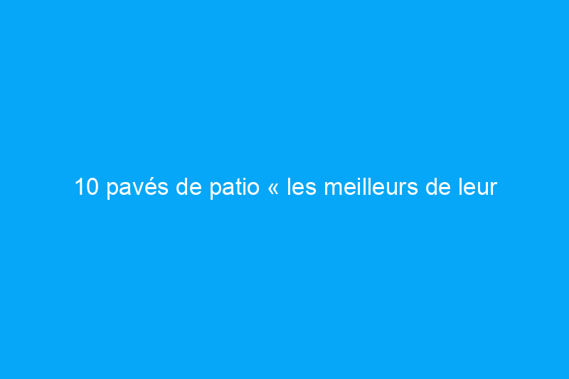 10 pavés de patio « les meilleurs de leur catégorie »