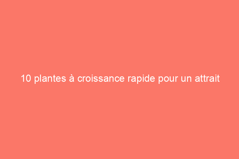 10 plantes à croissance rapide pour un attrait extérieur (presque) instantané