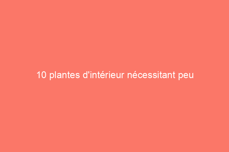 10 plantes d'intérieur nécessitant peu d'entretien pour garder l'air intérieur frais