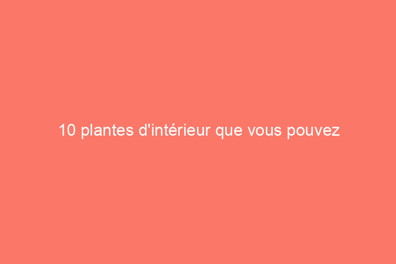 10 plantes d'intérieur que vous pouvez multiplier le plus rapidement possible pour un jardin intérieur en constante expansion