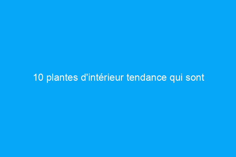 10 plantes d'intérieur tendance qui sont sans danger pour les animaux de compagnie, selon les experts