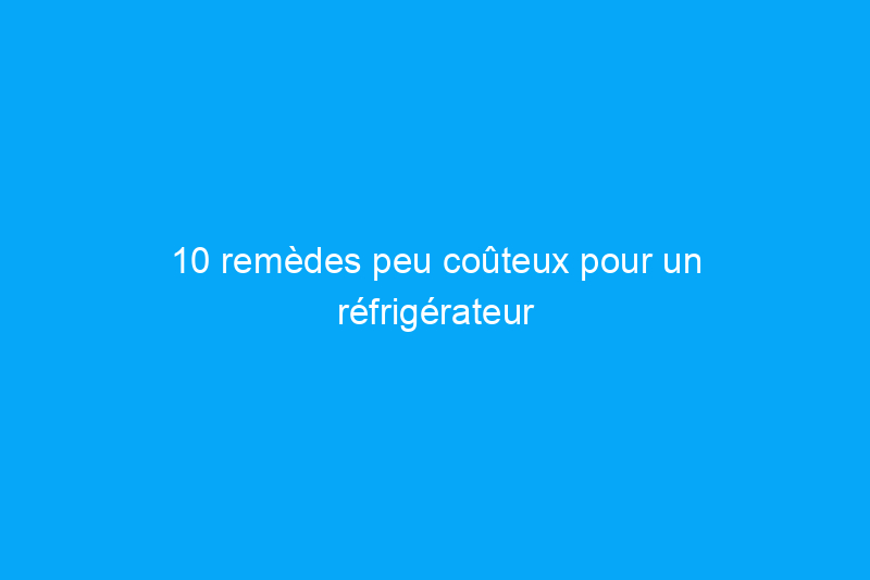 10 remèdes peu coûteux pour un réfrigérateur trop rempli