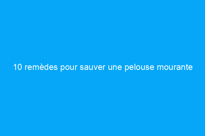 10 remèdes pour sauver une pelouse mourante