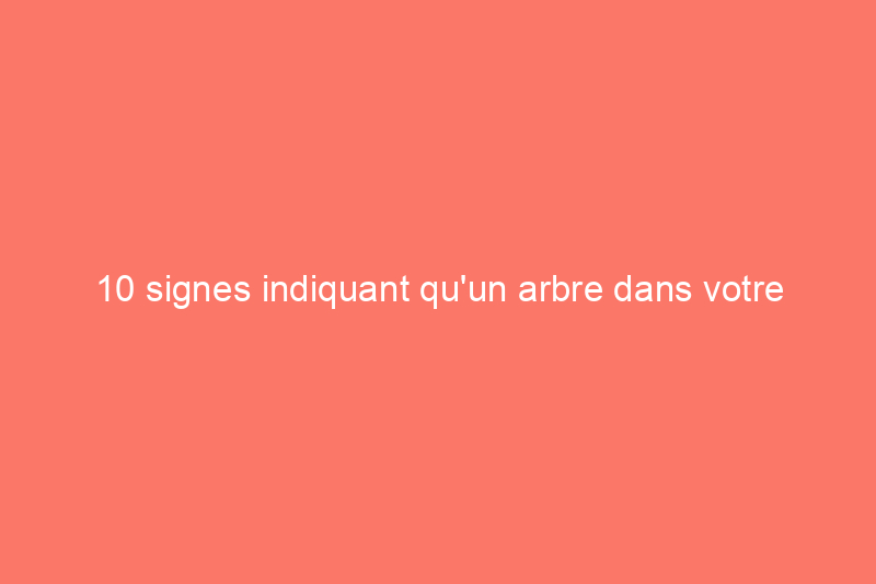 10 signes indiquant qu'un arbre dans votre jardin doit être abattu