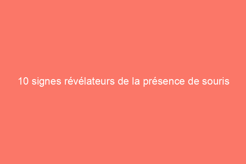 10 signes révélateurs de la présence de souris à ne jamais ignorer